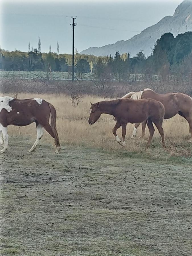 Cabanas Parque Chaqueihua Hornopirén Eksteriør billede
