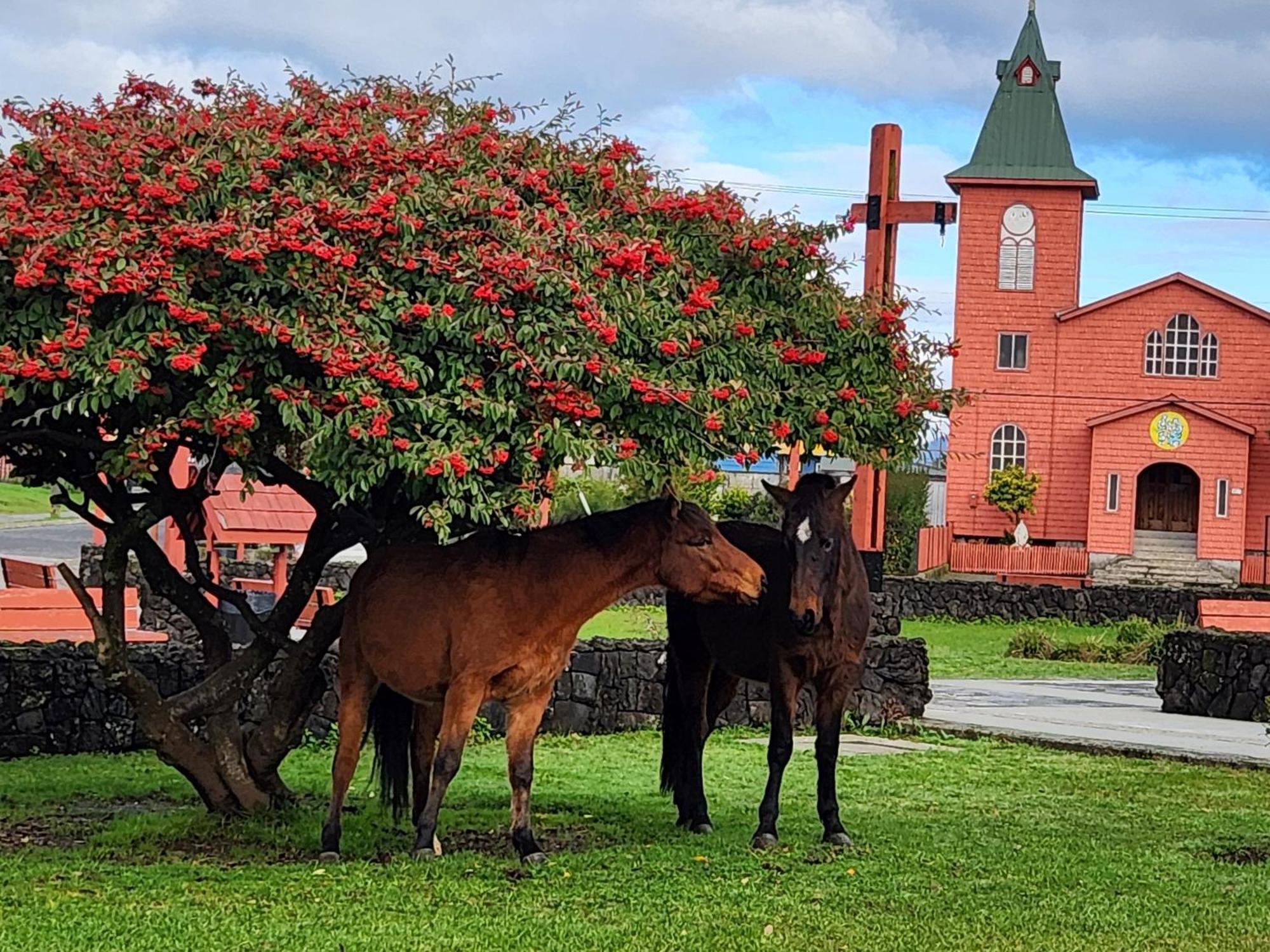 Cabanas Parque Chaqueihua Hornopirén Eksteriør billede
